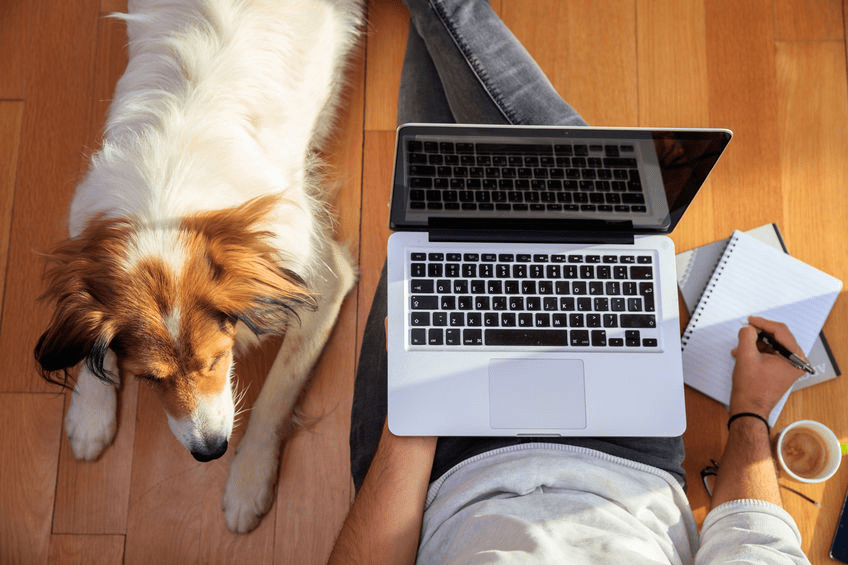 Marketing Writing: From My Dog’s Perspective